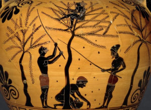 Food and Diet: Ancient Greece vs. Modern Greece