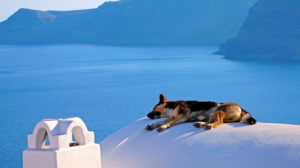 Live Longer with the Greek Lifestyle: Take Naps