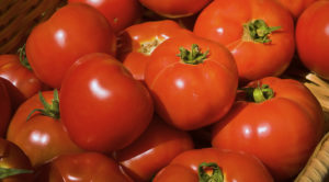 Study Says Tomatoes May Protect From Depression