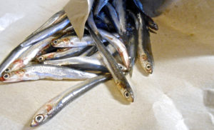 Greek Style Roasted Anchovies