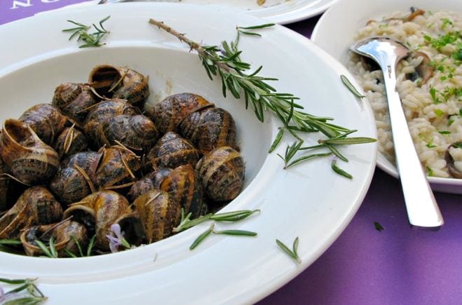 cretan snails