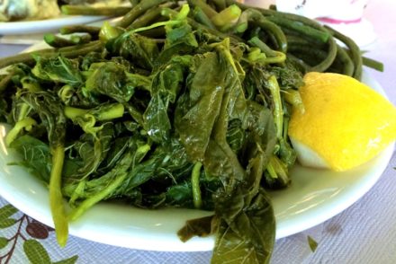 horta