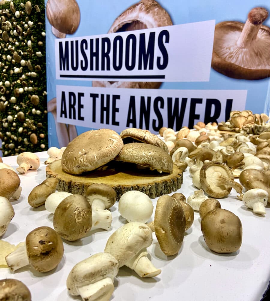 mushrooms Food and Nutrition Trends  2022-2023