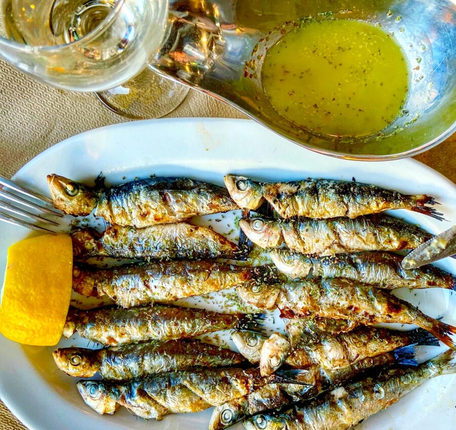 sardines
