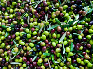 Are Olives Healthy? A Greek Nutritionist’s Guide to The Healthiest Olives.