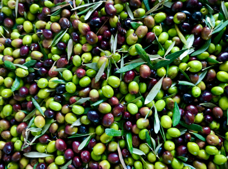 Are Olives Healthy? A Greek Nutritionist’s Guide to The Healthiest Olives.